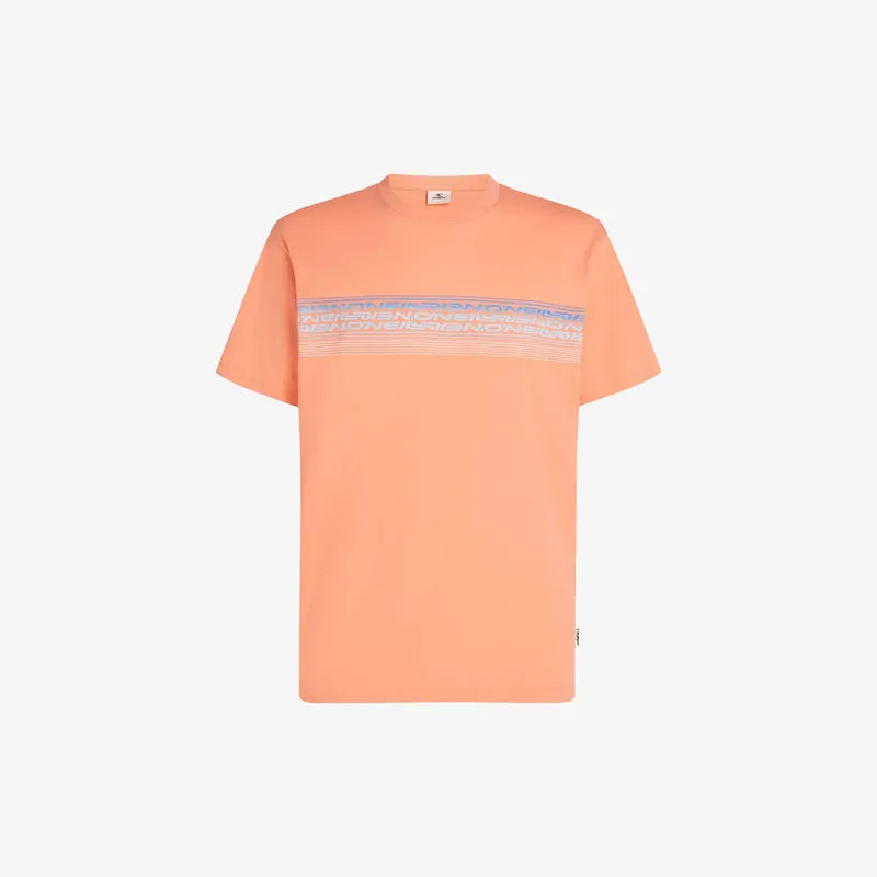 O’Neill LOGO STRIPE T-Shirt