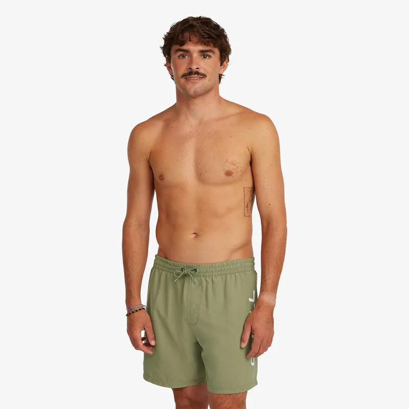 O’Neill LOGO 16 Boardshorts