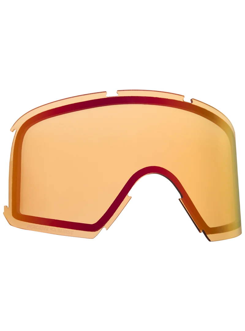 Anon Nesa S Perceive Goggle Lens
