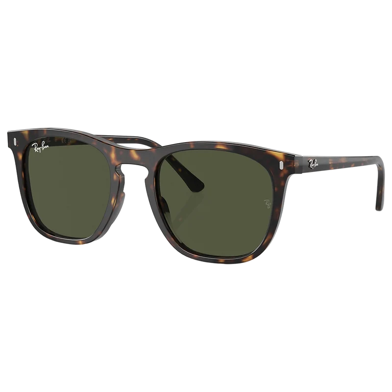 0RB2210 Sunglasses