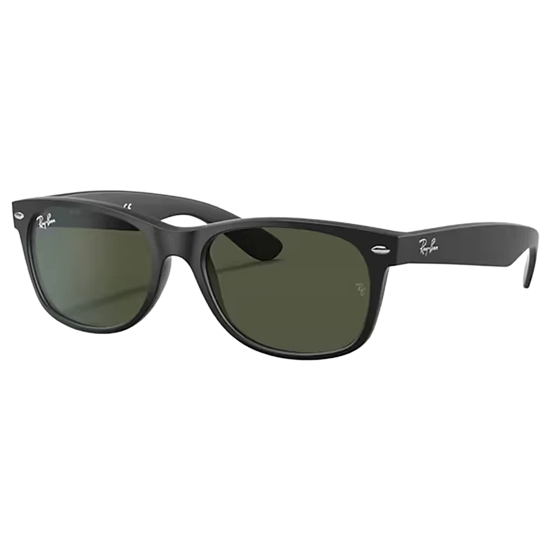 New Wayfarer Sunglasses