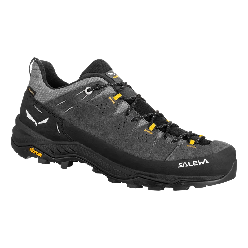 ALP TRAINER 2 GTX M