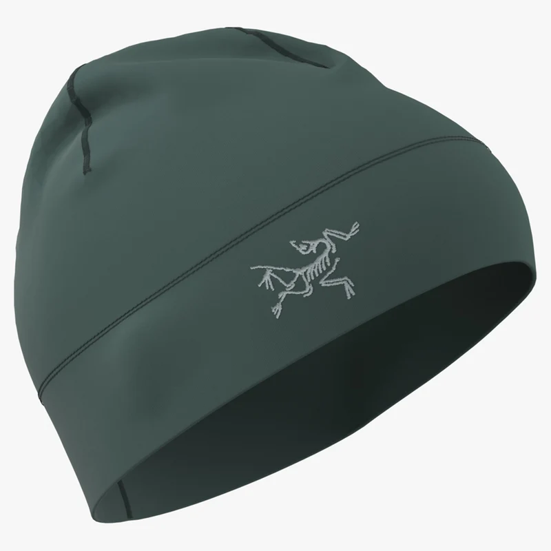 Arc'teryx Rho Toque