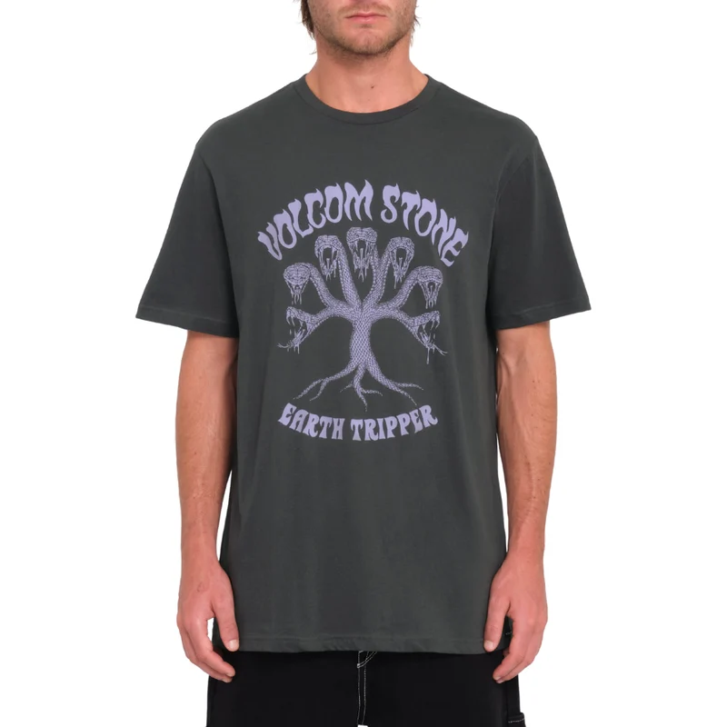 Feeding Tree SST