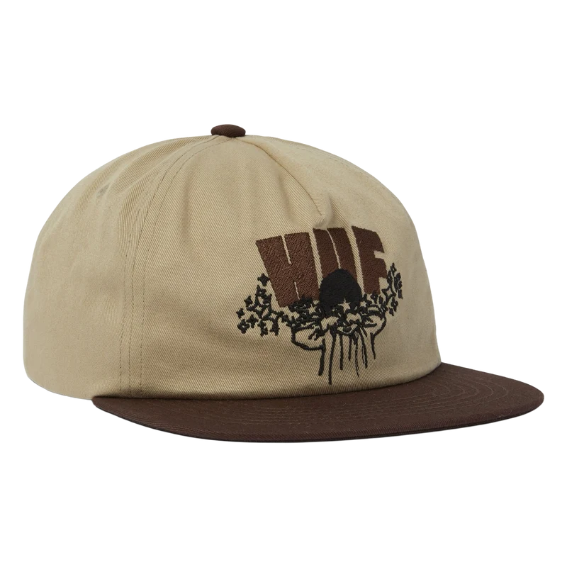Dazed Snapback Hat