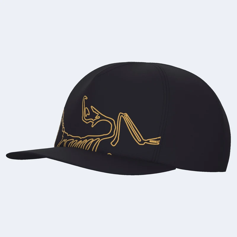 Arcteryx Silex Cap