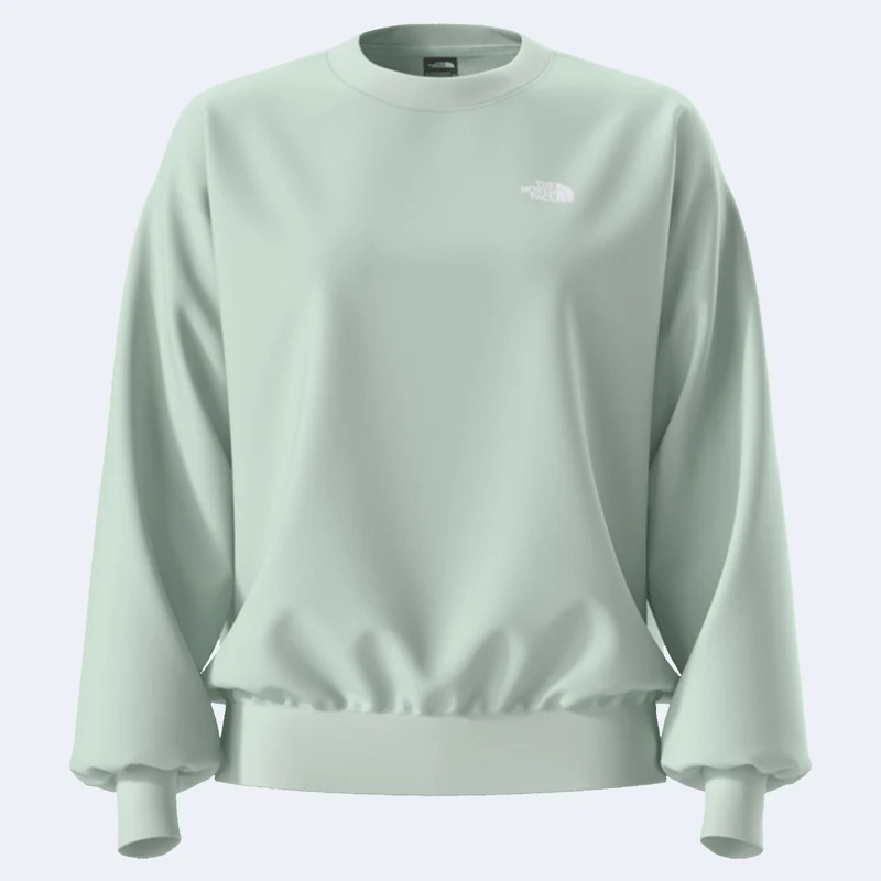 The North Face Evolution Simple Dome Oversized Women's Crew