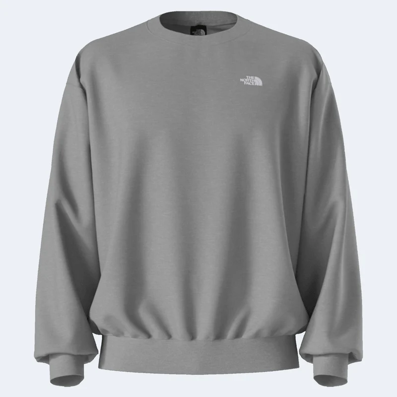 The North Face Evolution Simple Dome Oversized Men's Crew