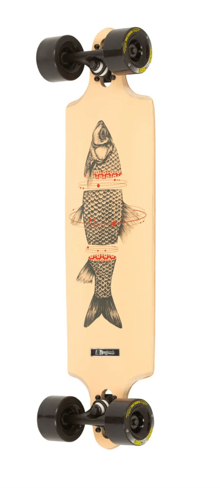 DB: Sashimi 32" Longboard Complete