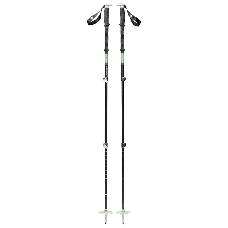 Expedition 3 Ski Poles