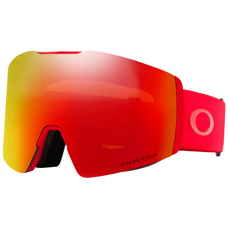 Fall Line L Goggle