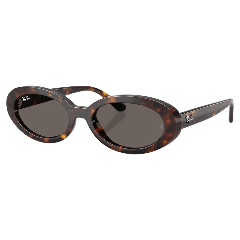 0Rb2223 Sunglasses