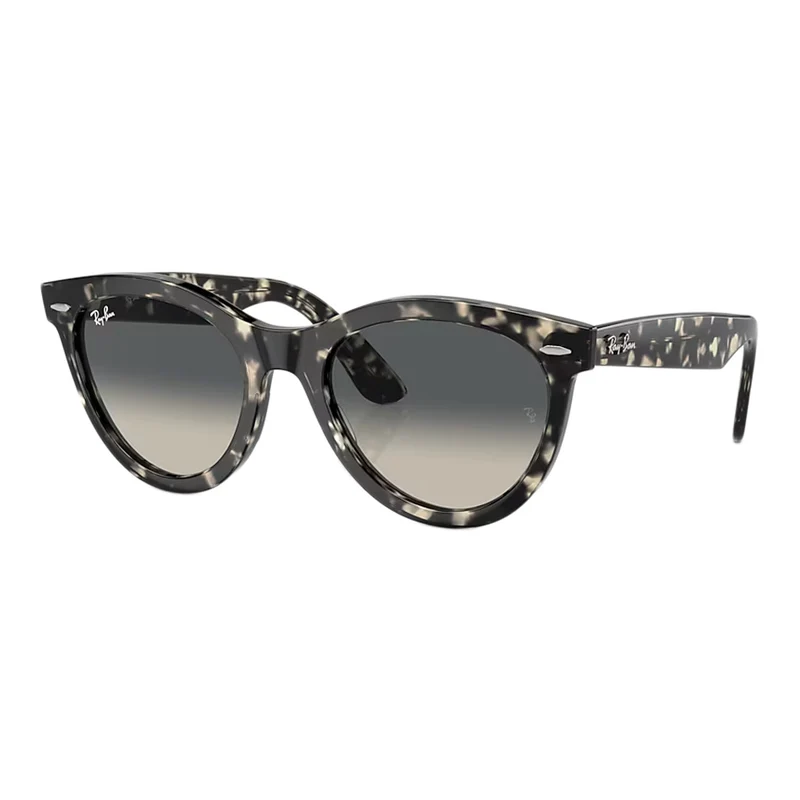 Wayfarer Way Sunglasses